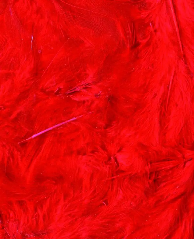 Artemio Coloured Feathers 8-12Cm 1