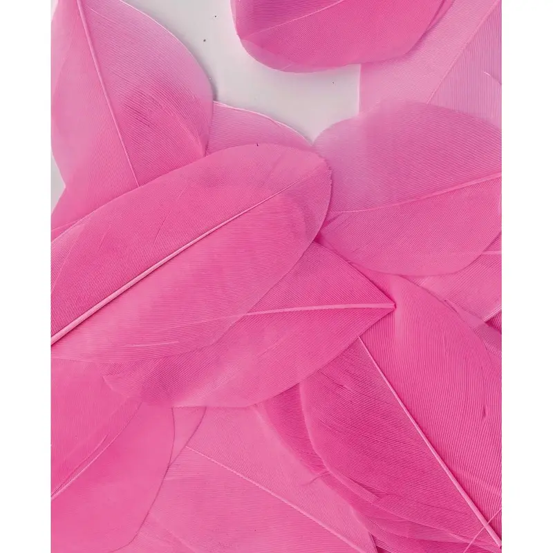 Artemio Feathers 3G Ligh Pink 1
