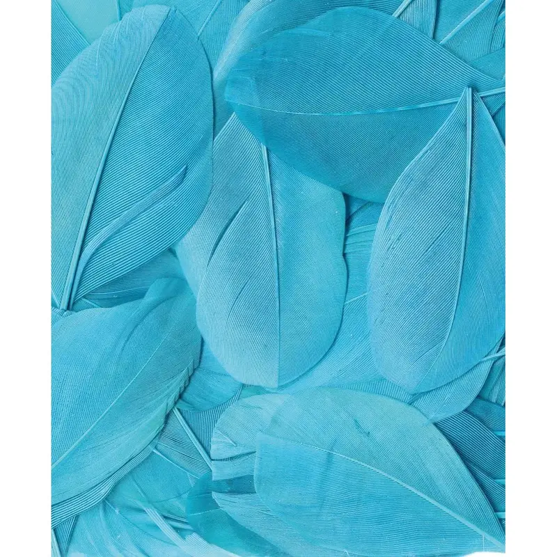 Artemio Feathers 3G Turquoise 1