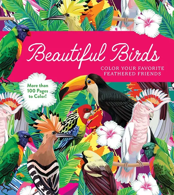 Beautiful Birds Colouring Book 1