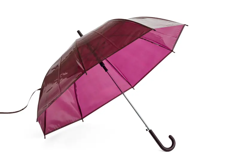Canopy - Burgundy 1