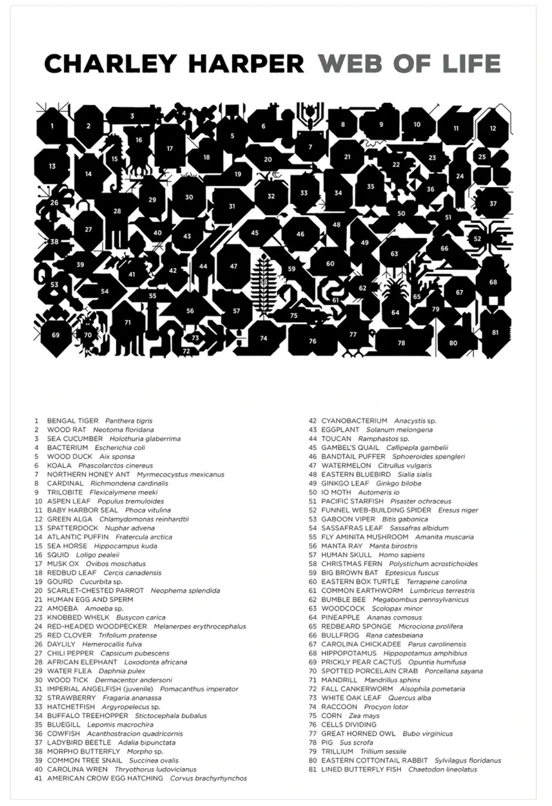Charley Harper: 2000 Piece Jigsaw Puzzle - Web Of Life 2