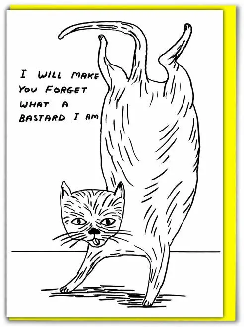David Shrigley Card – Bastard Cat 1