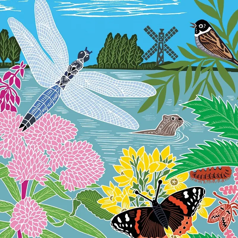 Dragonfly Greetings Card 1
