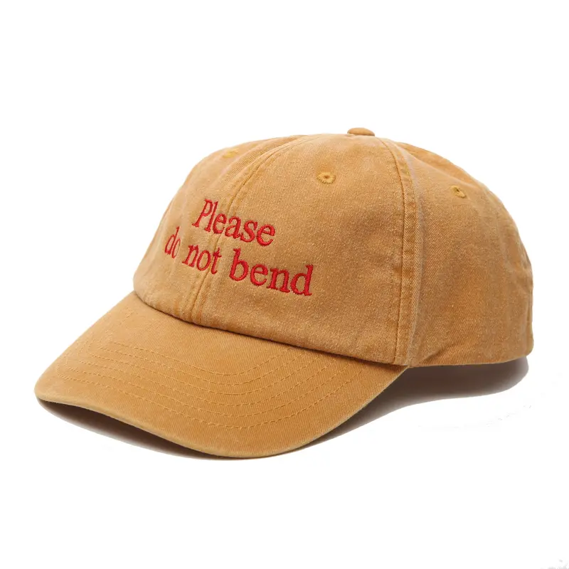 Fa Cap - Please Do Not Bend 1