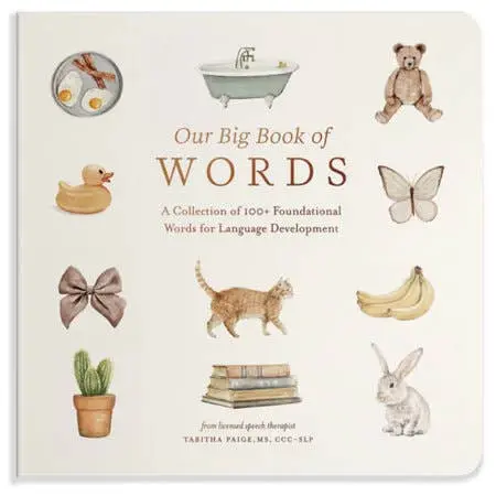 Our Big Book Of First Words 1