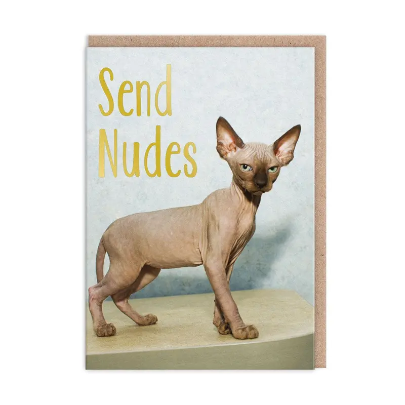 Send Nudes Greeting Card 1