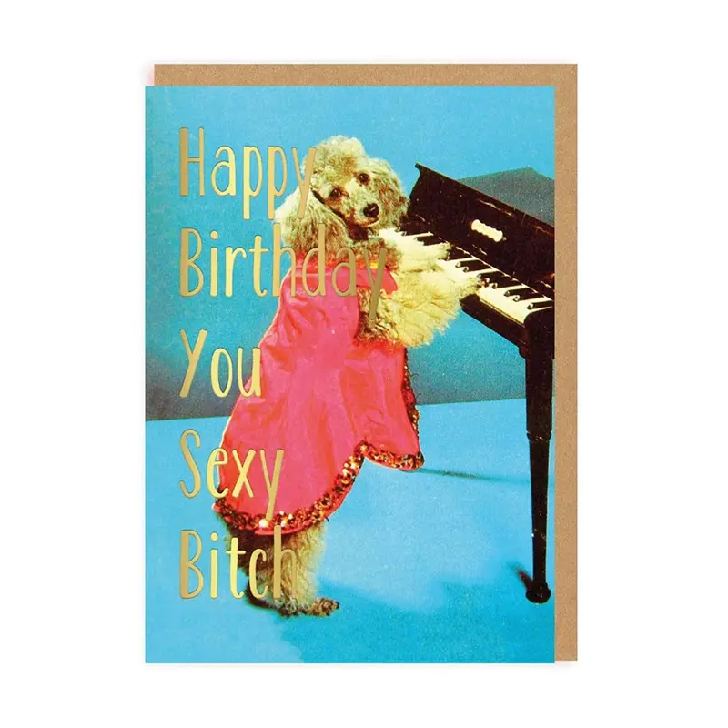 Sexy Bitch Happy Birthday Card 1