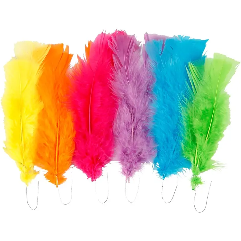 Turkey Feathers 1